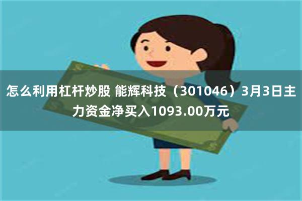 怎么利用杠杆炒股 能辉科技（301046）3月3日主力资金净买入1093.00万元