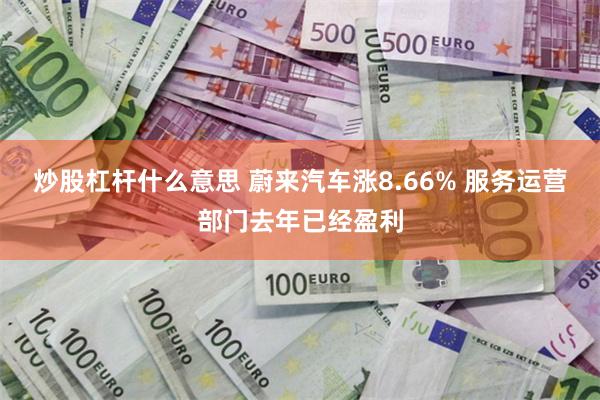 炒股杠杆什么意思 蔚来汽车涨8.66% 服务运营部门去年已经盈利