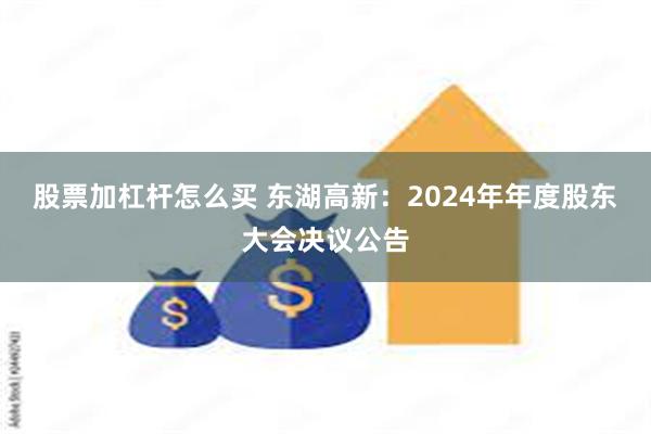 股票加杠杆怎么买 东湖高新：2024年年度股东大会决议公告