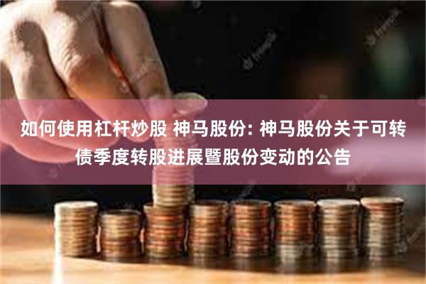 如何使用杠杆炒股 神马股份: 神马股份关于可转债季度转股进展暨股份变动的公告