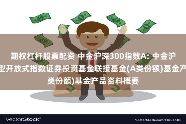 期权杠杆股票配资 中金沪深300指数A: 中金沪深300交易型开放式指数证券投资基金联接基金(A类份额)基金产品资料概要