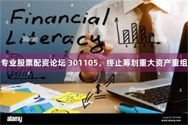 专业股票配资论坛 301105，终止筹划重大资产重组