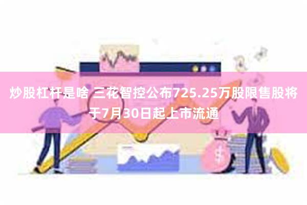 炒股杠杆是啥 三花智控公布725.25万股限售股将于7月30日起上市流通