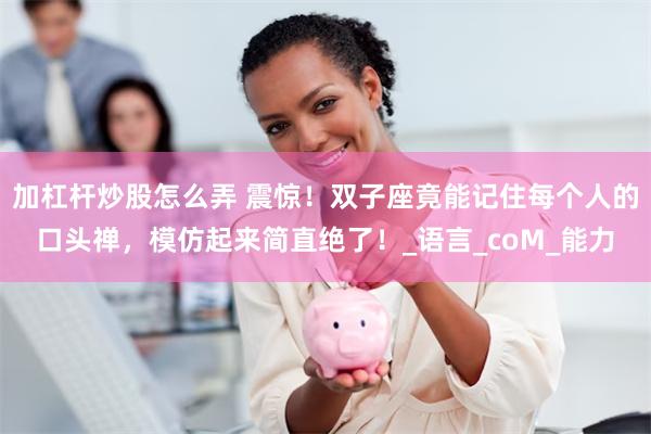 加杠杆炒股怎么弄 震惊！双子座竟能记住每个人的口头禅，模仿起来简直绝了！_语言_coM_能力