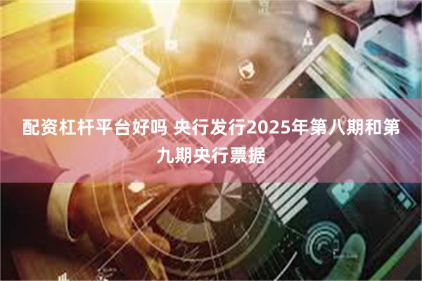 配资杠杆平台好吗 央行发行2025年第八期和第九期央行票据