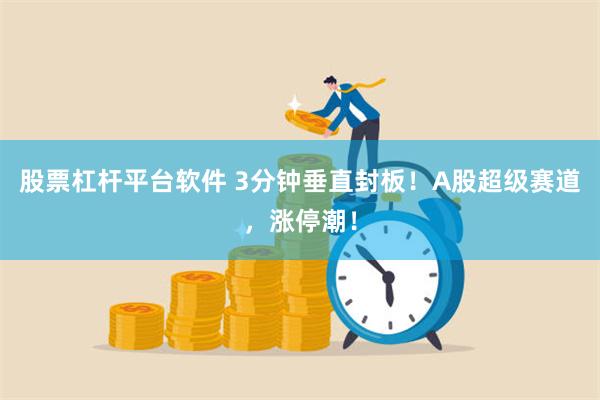 股票杠杆平台软件 3分钟垂直封板！A股超级赛道，涨停潮！